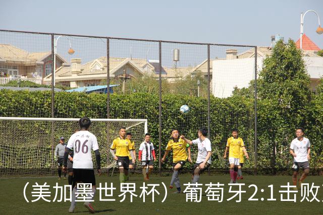（美加墨世界杯）葡萄牙2:1击败克罗地亚 C罗获世界杯淘汰赛首球
